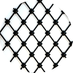 loupe ASTEN