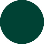 loupe RAL 6005